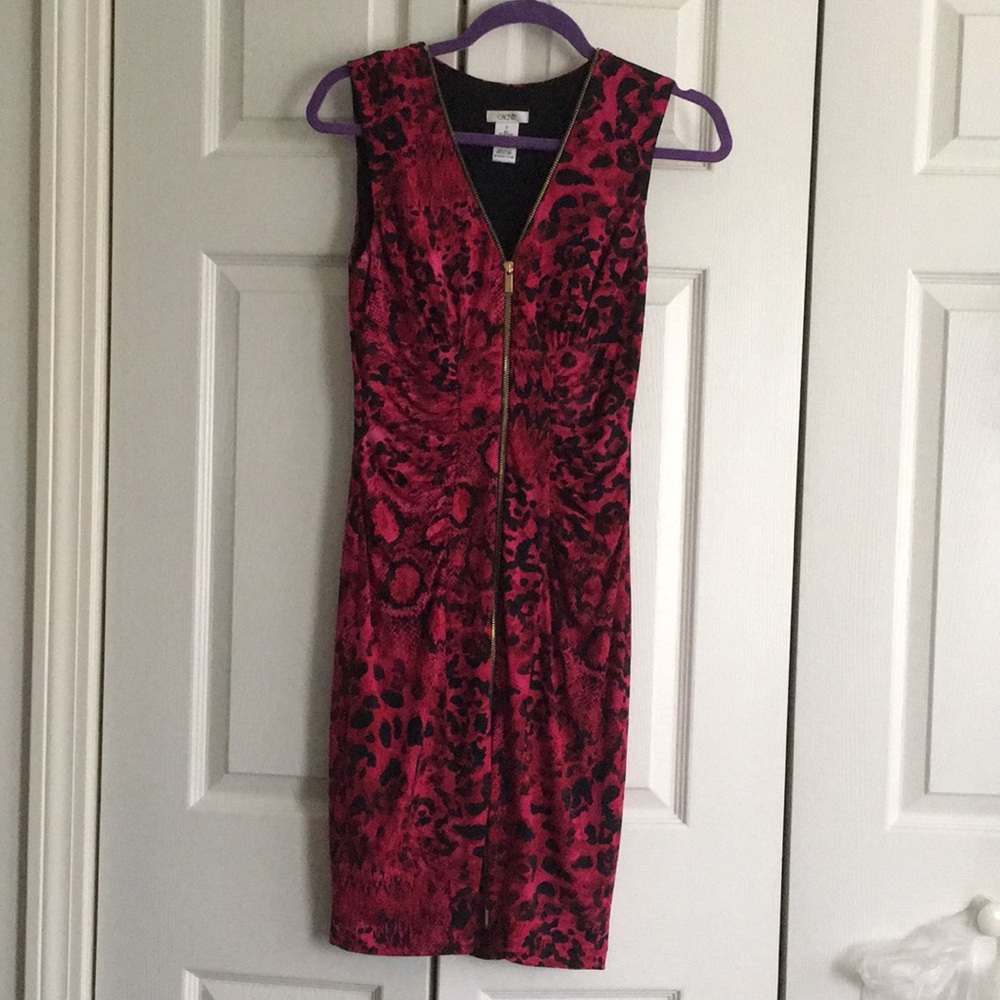 Cache’ Dress